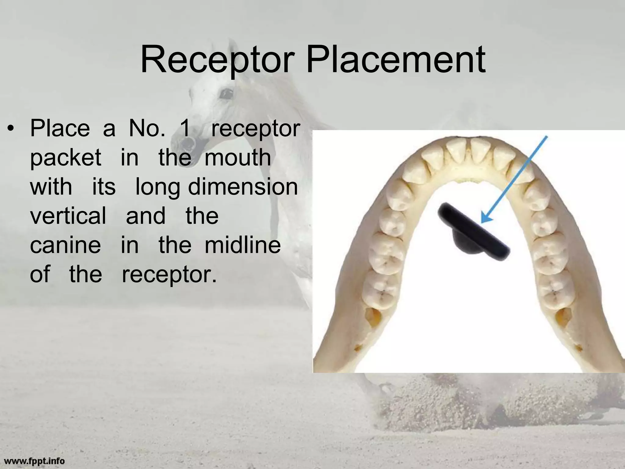 Receptor Placement
• Place a No. 1 receptor
packet in the mouth
with its long dimension
vertical and the
canine in the midline
of the receptor.
 