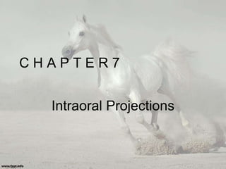 C H A P T E R 7
Intraoral Projections
 