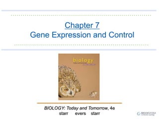 BIOLOGY: Today and Tomorrow, 4e
starr evers starr
Chapter 7
Gene Expression and Control
 