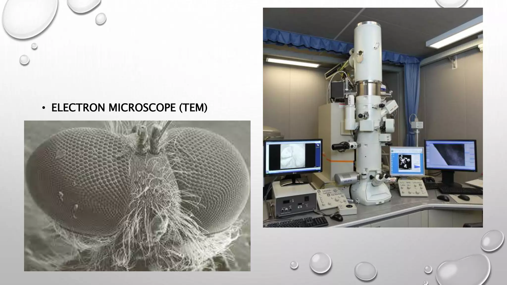 • ELECTRON MICROSCOPE (TEM)
 