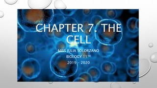 CHAPTER 7. THE
CELL
MISS JULIA SOLORZANO
BIOLOGY 11TH
2019 - 2020
 