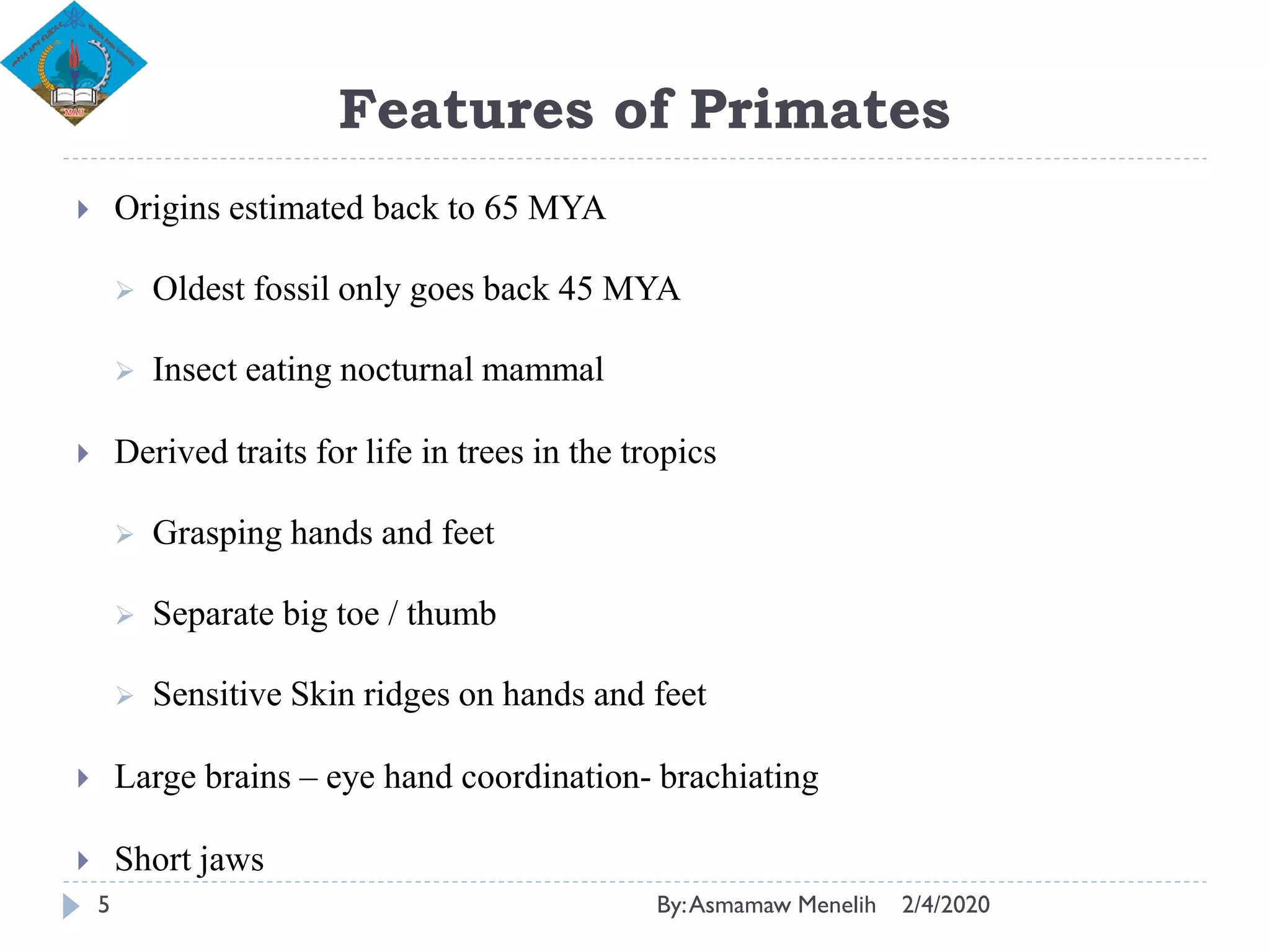 Premates Insects Human Evolution | PDF