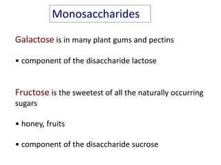 Galactose is in many plant gums and pectins
• component of the disaccharide lactose
Fructose is the sweetest of all the naturally occurring
sugars
• honey, fruits
• component of the disaccharide sucrose
Monosaccharides
 