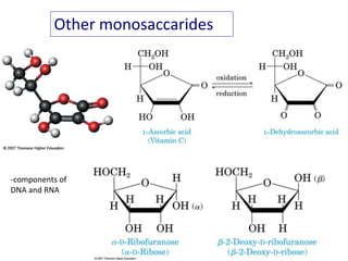 Other monosaccarides
-components of
DNA and RNA
 