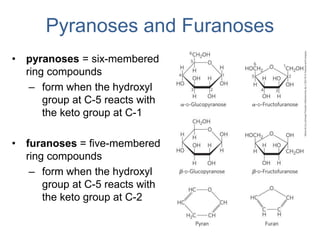 Pyranoses and Furanoses
• pyranoses = six-membered
ring compounds
– form when the hydroxyl
group at C-5 reacts with
the keto group at C-1
• furanoses = five-membered
ring compounds
– form when the hydroxyl
group at C-5 reacts with
the keto group at C-2
 