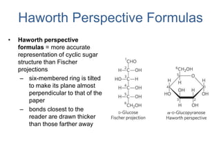 Haworth Perspective Formulas
• Haworth perspective
formulas = more accurate
representation of cyclic sugar
structure than Fischer
projections
– six-membered ring is tilted
to make its plane almost
perpendicular to that of the
paper
– bonds closest to the
reader are drawn thicker
than those farther away
 