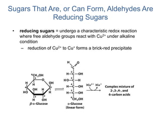 Sugars That Are, or Can Form, Aldehydes Are
Reducing Sugars
• reducing sugars = undergo a characteristic redox reaction
where free aldehyde groups react with Cu2+ under alkaline
condition
– reduction of Cu2+ to Cu+ forms a brick-red precipitate
 