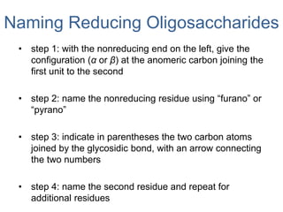 Naming Reducing Oligosaccharides
• step 1: with the nonreducing end on the left, give the
configuration (α or β) at the anomeric carbon joining the
first unit to the second
• step 2: name the nonreducing residue using “furano” or
“pyrano”
• step 3: indicate in parentheses the two carbon atoms
joined by the glycosidic bond, with an arrow connecting
the two numbers
• step 4: name the second residue and repeat for
additional residues
 