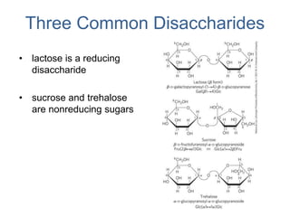 Three Common Disaccharides
• lactose is a reducing
disaccharide
• sucrose and trehalose
are nonreducing sugars
 
