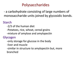 Polysaccharides
- a carbohydrate consisting of large numbers of
monosaccharide units joined by glycosidic bonds.
Starch
-2/3 of the human diet
-Potatoes, rice, wheat, cereal grains
-mixture of amylose and amylopectin
Glycogen
-only storage for glucose in the body
-liver and muscle
-similar in structure to amylopectin but, more
branched
 