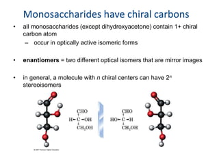 • all monosaccharides (except dihydroxyacetone) contain 1+ chiral
carbon atom
– occur in optically active isomeric forms
• enantiomers = two different optical isomers that are mirror images
• in general, a molecule with n chiral centers can have 2n
stereoisomers
Monosaccharides have chiral carbons
 