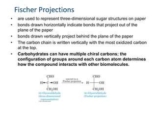 • are used to represent three-dimensional sugar structures on paper
• bonds drawn horizontally indicate bonds that project out of the
plane of the paper
• bonds drawn vertically project behind the plane of the paper
• The carbon chain is written vertically with the most oxidized carbon
at the top.
• Carbohydrates can have multiple chiral carbons; the
configuration of groups around each carbon atom determines
how the compound interacts with other biomolecules.
Fischer Projections
 