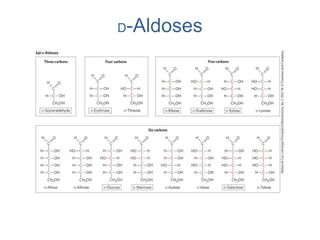 D-Aldoses
 