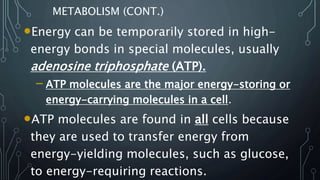 METABOLISM (CONT.)
•Energy can be temporarily stored in high-
energy bonds in special molecules, usually
adenosine triphosphate (ATP).
– ATP molecules are the major energy-storing or
energy-carrying molecules in a cell.
•ATP molecules are found in all cells because
they are used to transfer energy from
energy-yielding molecules, such as glucose,
to energy-requiring reactions.
 