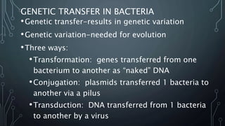 GENETIC TRANSFER IN BACTERIA
•Genetic transfer-results in genetic variation
•Genetic variation-needed for evolution
•Three ways:
•Transformation: genes transferred from one
bacterium to another as “naked” DNA
•Conjugation: plasmids transferred 1 bacteria to
another via a pilus
•Transduction: DNA transferred from 1 bacteria
to another by a virus
 