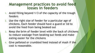 all about chicken feed: how much, what to avoid & best... Nutrition plays a vital role in broiler production. | PDF