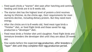 Nutrition plays a vital role in broiler production. | PDF