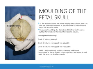Chapter 7 obstetrics and gynaecology mudaliar | PPTX