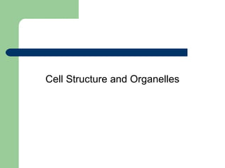 Cell Structure and Organelles 