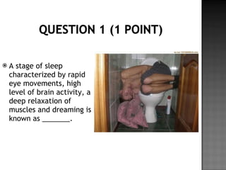 Chapter 7 altered states of consciousness review | PPT