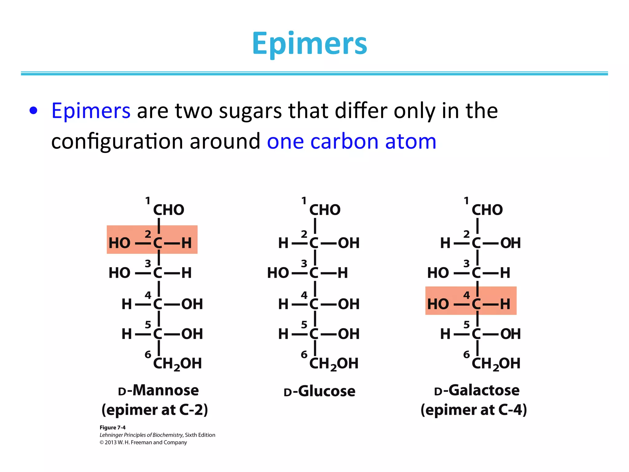 Epimers	
  
•  Epimers	
  are	
  two	
  sugars	
  that	
  diﬀer	
  only	
  in	
  the	
  
conﬁguraIon	
  around	
  one	
  carbon	
  atom	
  
 