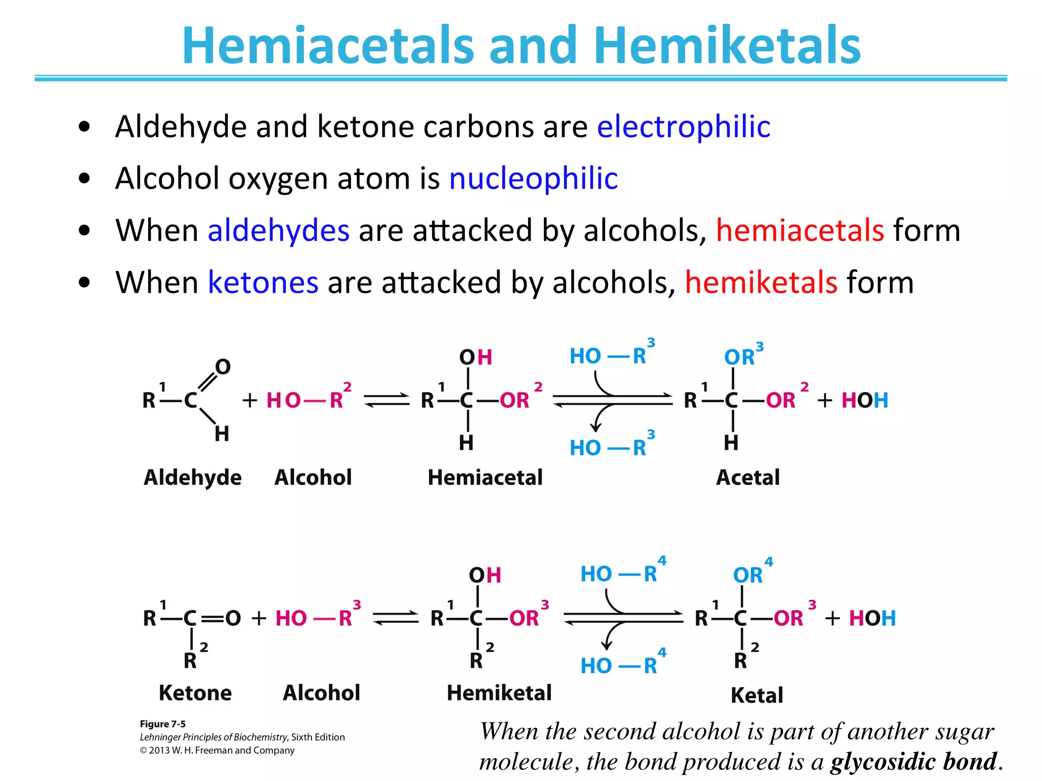 Hemiacetals	
  and	
  Hemiketals	
  
•  Aldehyde	
  and	
  ketone	
  carbons	
  are	
  electrophilic	
  	
  
•  Alcohol	
  oxygen	
  atom	
  is	
  nucleophilic	
  
•  When	
  aldehydes	
  are	
  aaacked	
  by	
  alcohols,	
  hemiacetals	
  form	
  
•  When	
  ketones	
  are	
  aaacked	
  by	
  alcohols,	
  hemiketals	
  form	
  
When the second alcohol is part of another sugar
molecule, the bond produced is a glycosidic bond.
 