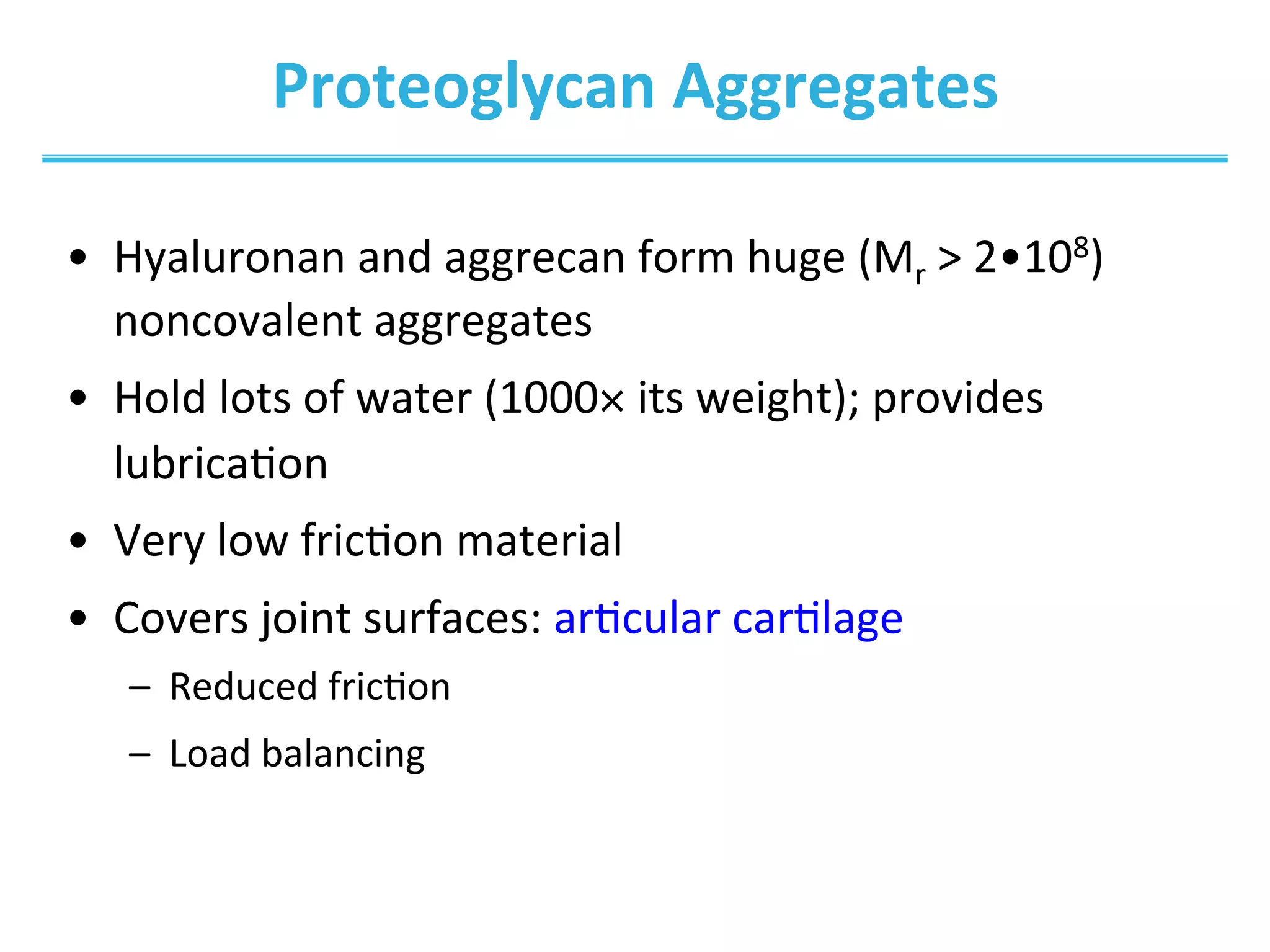 Proteoglycan	
  Aggregates	
  
•  Hyaluronan	
  and	
  aggrecan	
  form	
  huge	
  (Mr	
  >	
  2•108)	
  
noncovalent	
  aggregates	
  
•  Hold	
  lots	
  of	
  water	
  (1000×	
  its	
  weight);	
  provides	
  
lubricaIon	
  
•  Very	
  low	
  fricIon	
  material	
  
•  Covers	
  joint	
  surfaces:	
  arIcular	
  carIlage	
  
–  Reduced	
  fricIon	
  
–  Load	
  balancing	
  
 
