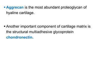 Chondronectin Cartilage Histology | PPTX