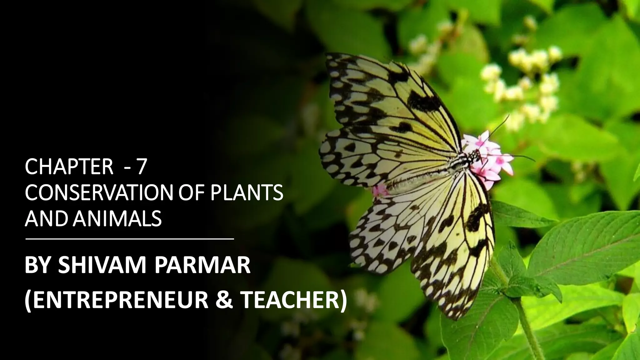 Chapter - 7, Conservation of Plants and Animals, Science, Class 8 | PDF