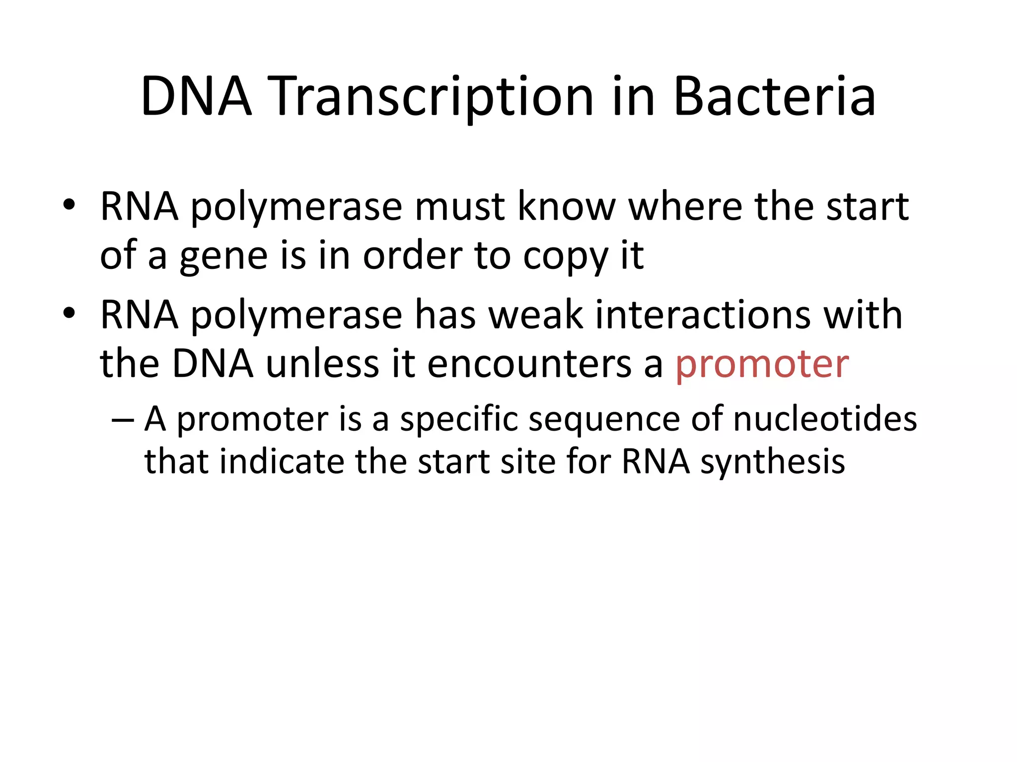 DNA Transcription in Bacteria
• RNA polymerase must know where the start
of a gene is in order to copy it
• RNA polymerase has weak interactions with
the DNA unless it encounters a promoter
– A promoter is a specific sequence of nucleotides
that indicate the start site for RNA synthesis
 