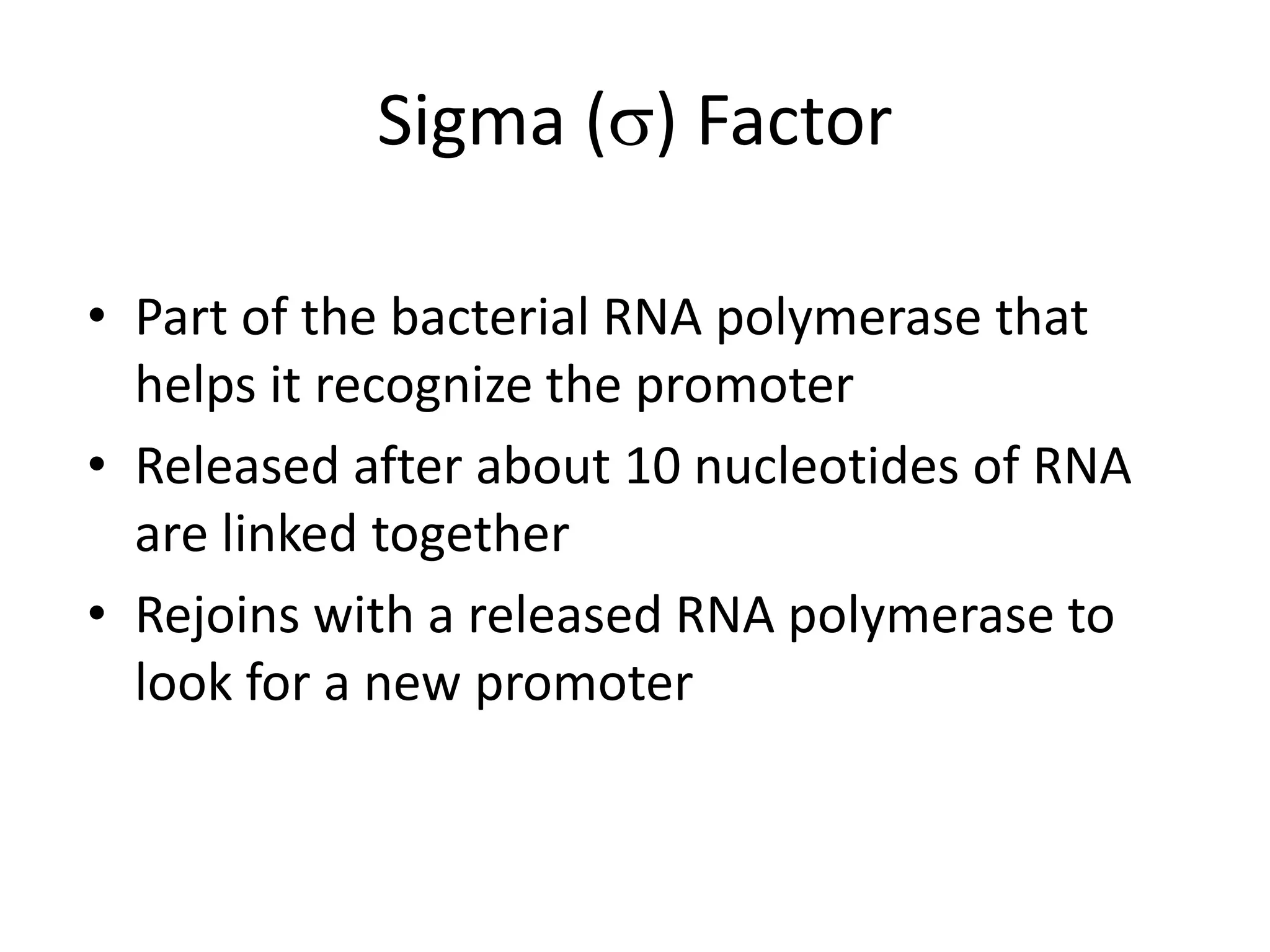 Sigma () Factor
• Part of the bacterial RNA polymerase that
helps it recognize the promoter
• Released after about 10 nucleotides of RNA
are linked together
• Rejoins with a released RNA polymerase to
look for a new promoter
 