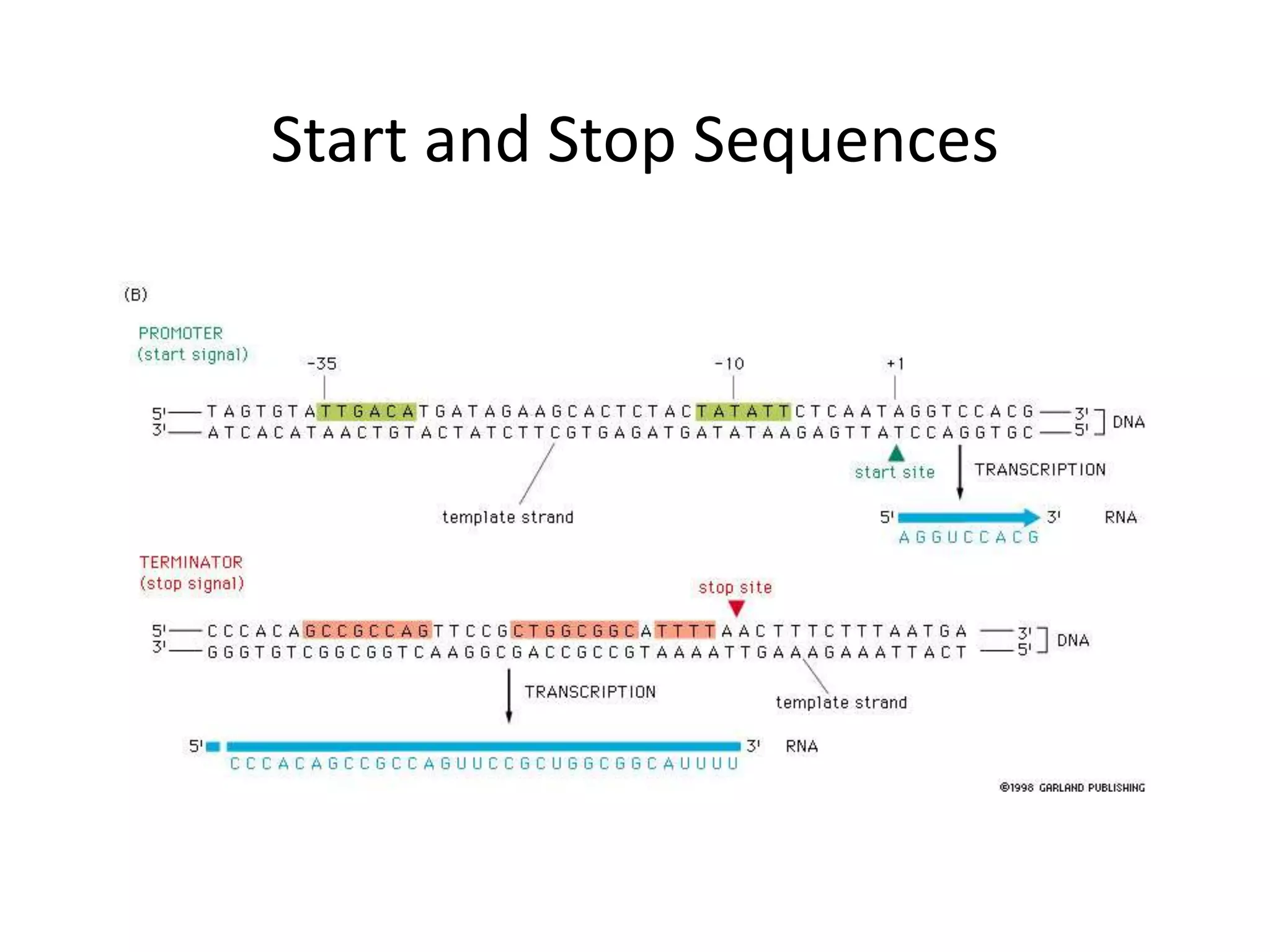 Start and Stop Sequences
 