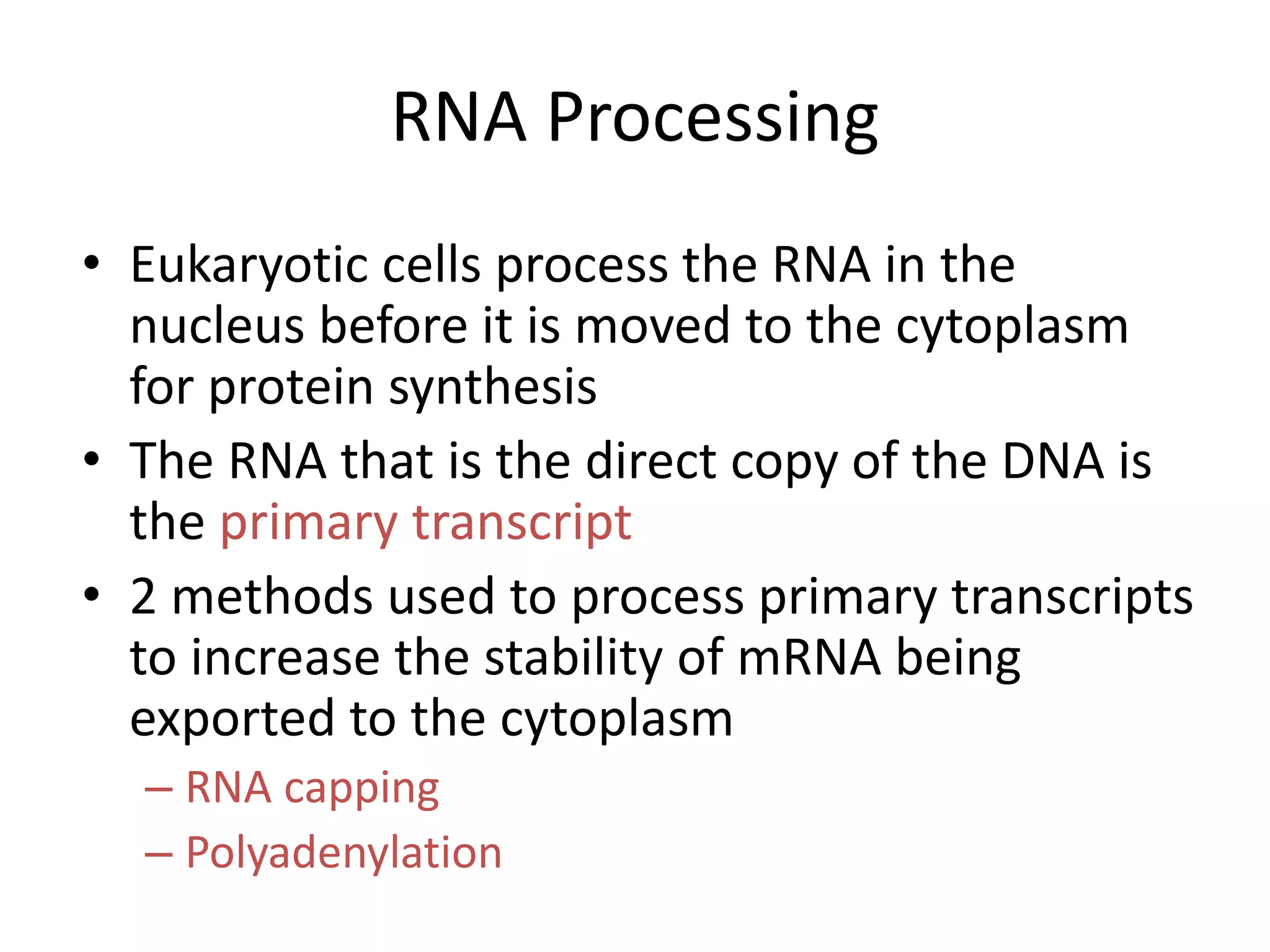 RNA Processing
• Eukaryotic cells process the RNA in the
nucleus before it is moved to the cytoplasm
for protein synthesis
• The RNA that is the direct copy of the DNA is
the primary transcript
• 2 methods used to process primary transcripts
to increase the stability of mRNA being
exported to the cytoplasm
– RNA capping
– Polyadenylation
 