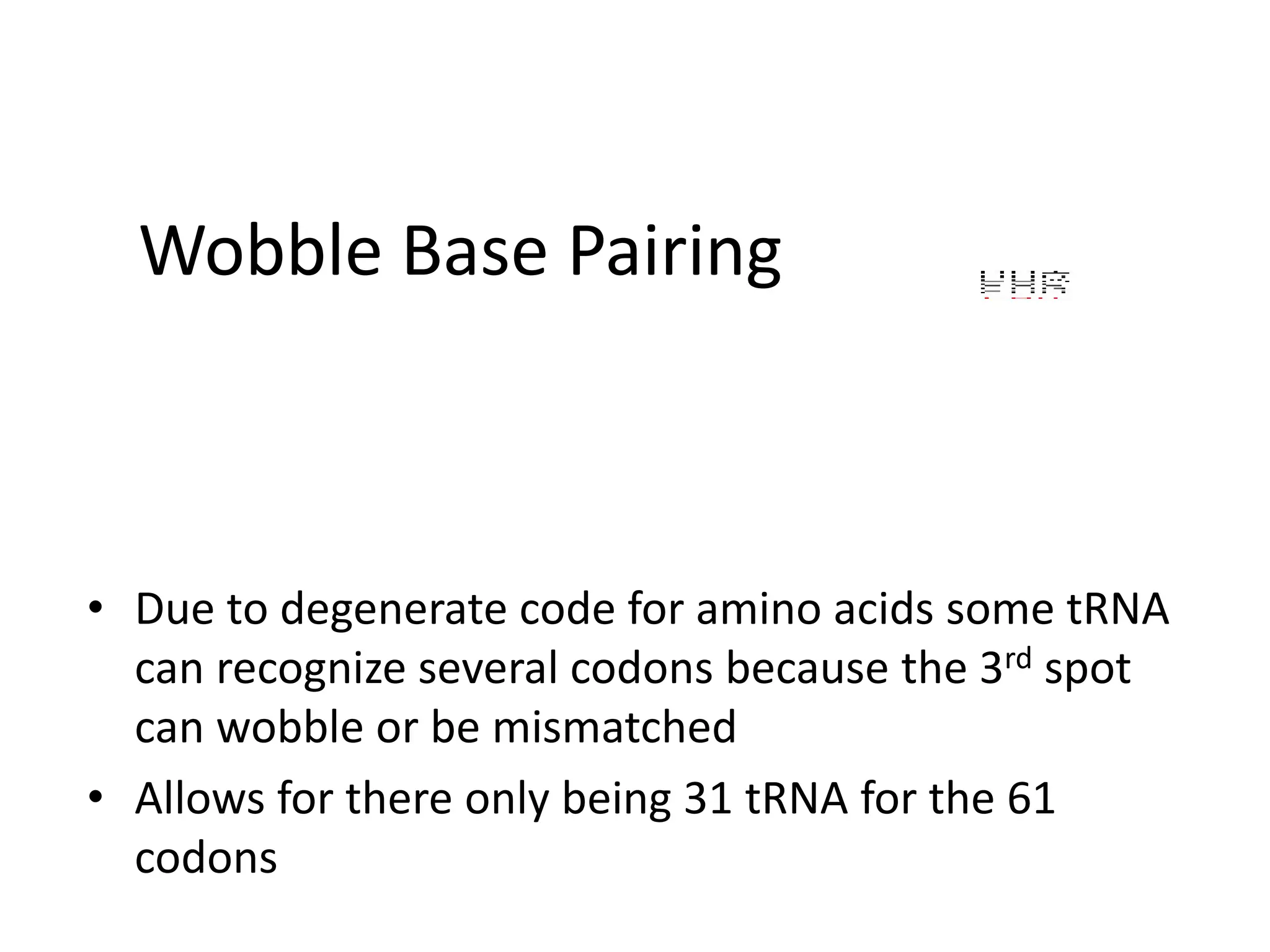 Wobble Base Pairing
• Due to degenerate code for amino acids some tRNA
can recognize several codons because the 3rd spot
can wobble or be mismatched
• Allows for there only being 31 tRNA for the 61
codons
 