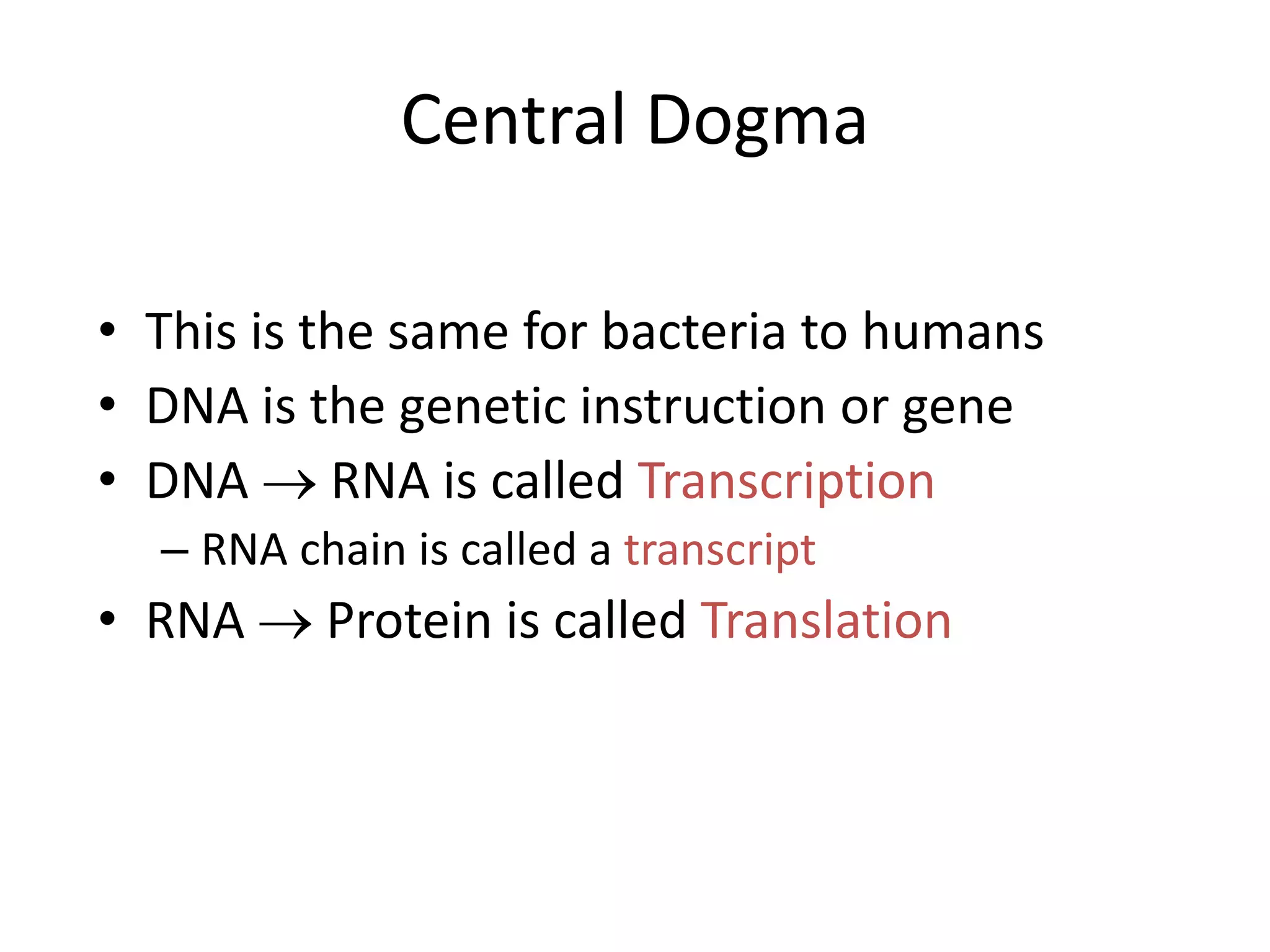 Central Dogma
• This is the same for bacteria to humans
• DNA is the genetic instruction or gene
• DNA  RNA is called Transcription
– RNA chain is called a transcript
• RNA  Protein is called Translation
 