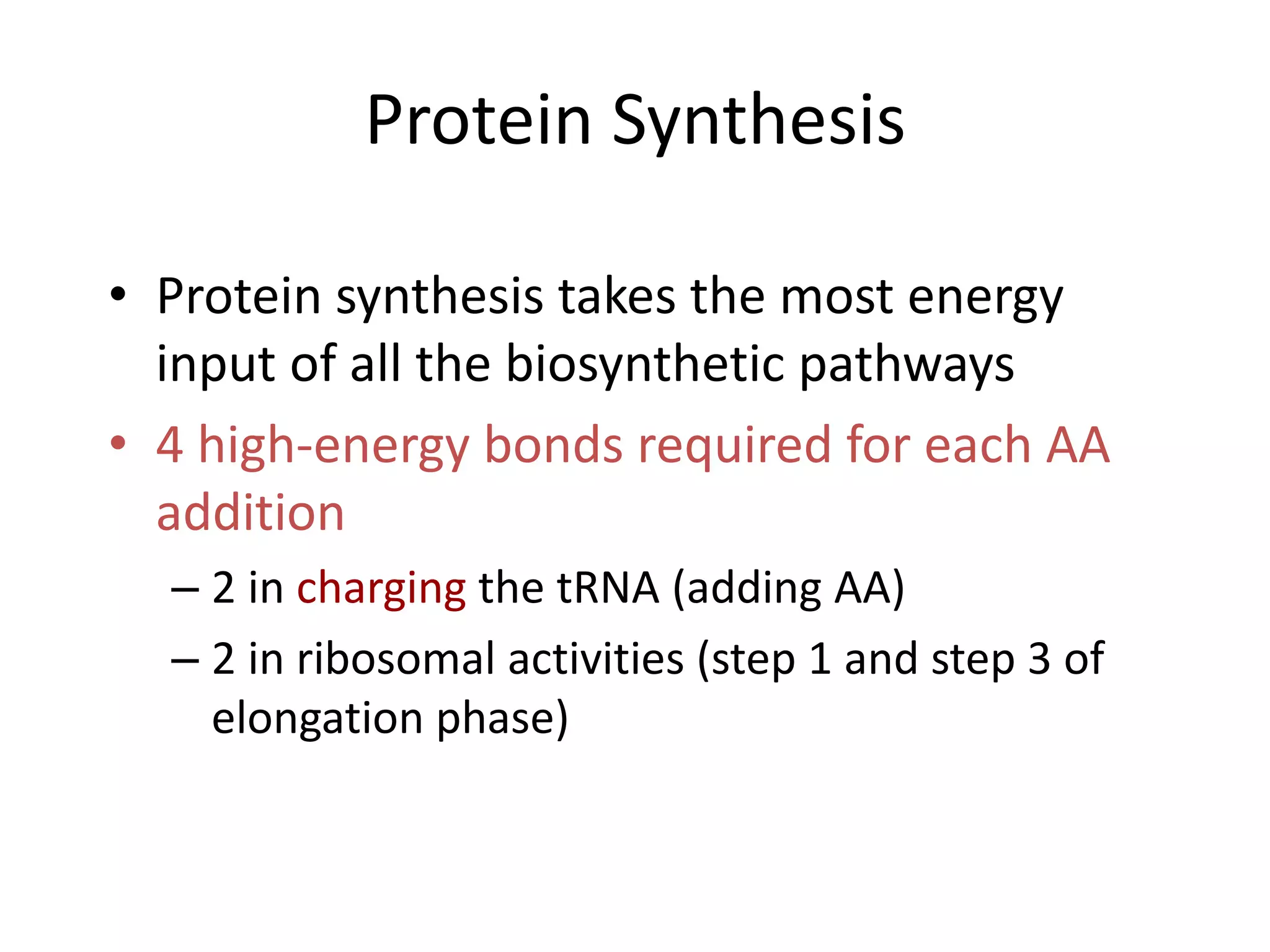 Protein Synthesis
• Protein synthesis takes the most energy
input of all the biosynthetic pathways
• 4 high-energy bonds required for each AA
addition
– 2 in charging the tRNA (adding AA)
– 2 in ribosomal activities (step 1 and step 3 of
elongation phase)
 