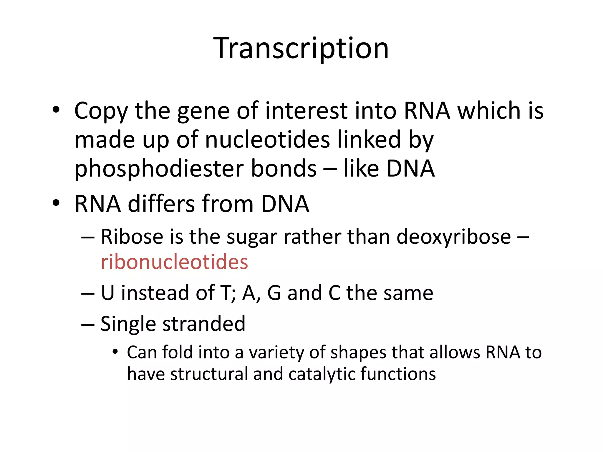 Transcription
• Copy the gene of interest into RNA which is
made up of nucleotides linked by
phosphodiester bonds – like DNA
• RNA differs from DNA
– Ribose is the sugar rather than deoxyribose –
ribonucleotides
– U instead of T; A, G and C the same
– Single stranded
• Can fold into a variety of shapes that allows RNA to
have structural and catalytic functions
 
