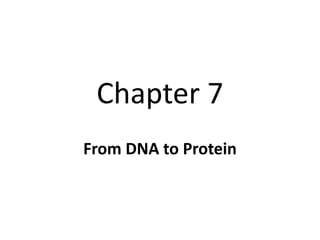 Chapter 7
From DNA to Protein
 