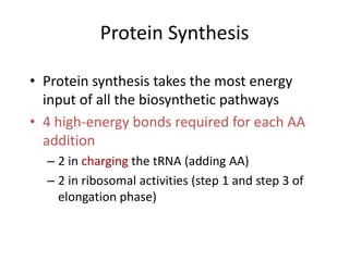 Chapter 7 - DNA to Protein.ppt