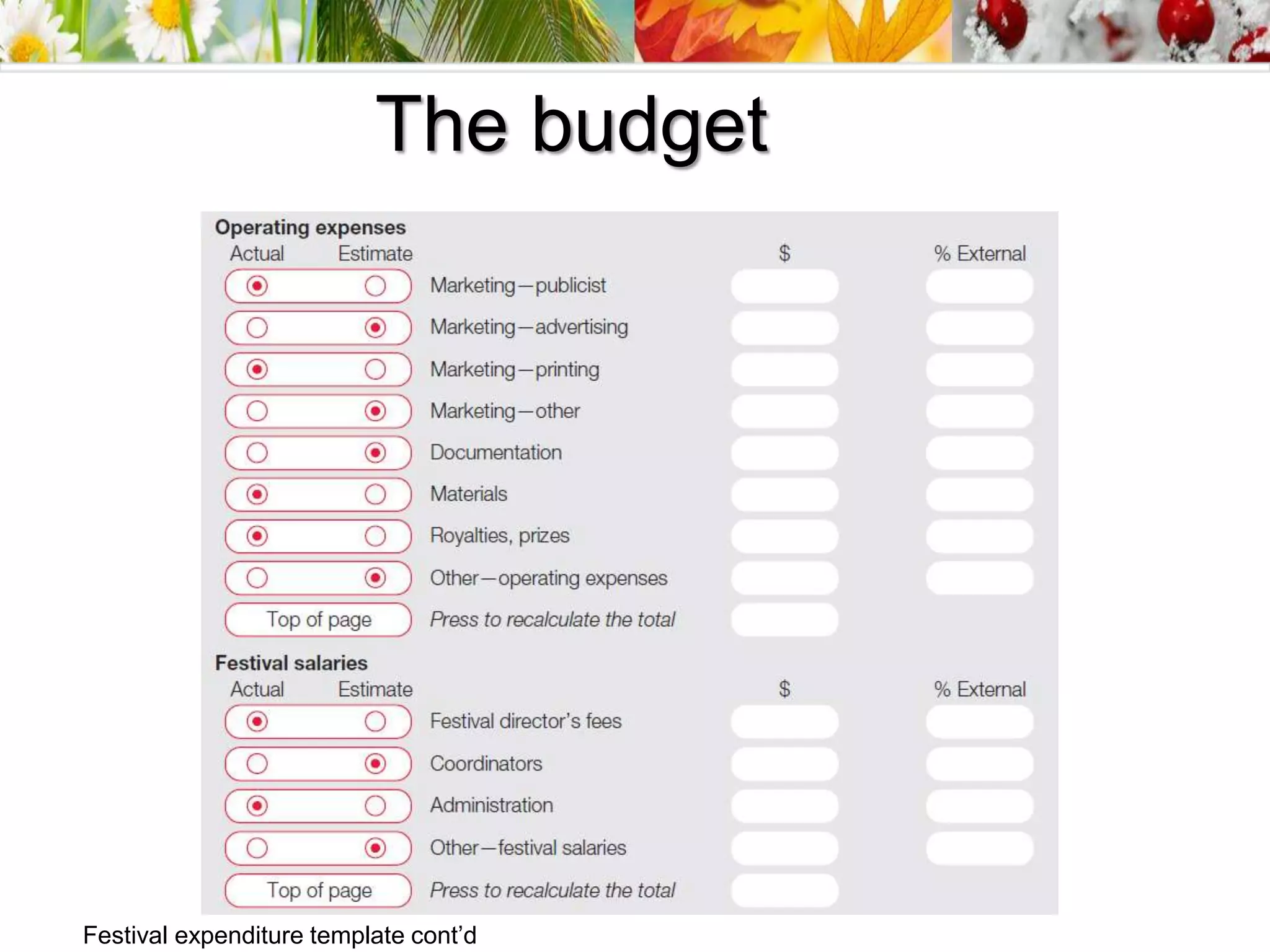 Festival expenditure template cont’d
The budget
 