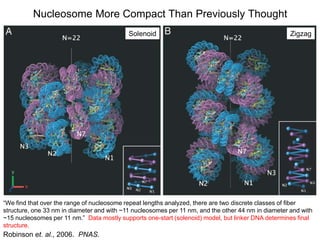 Chapter 7 genome structure, chromatin, and the nucleosome (1) | PPTX