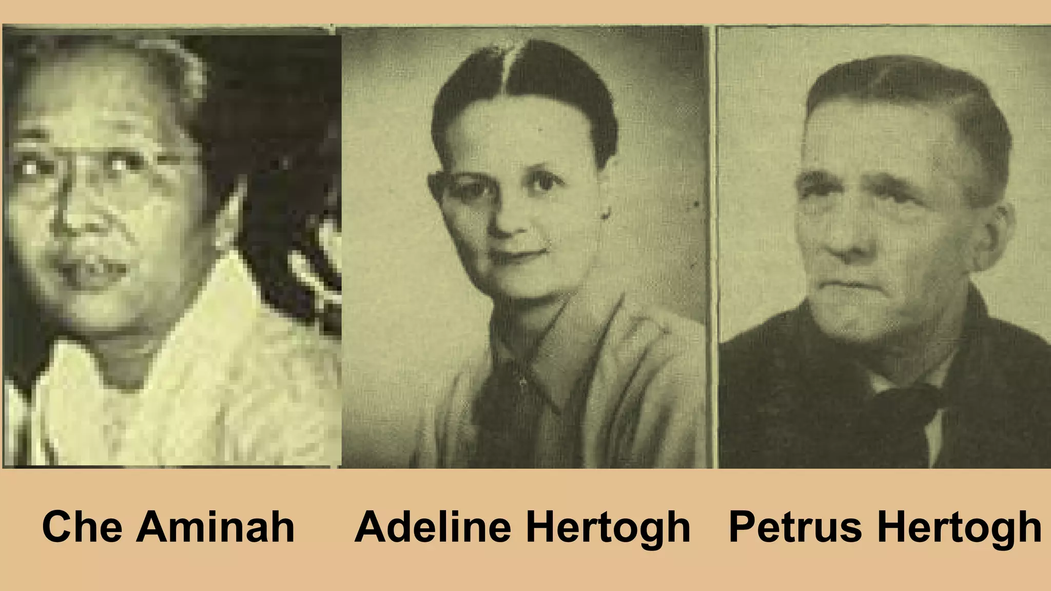 Adeline Hertogh Petrus HertoghChe Aminah
 