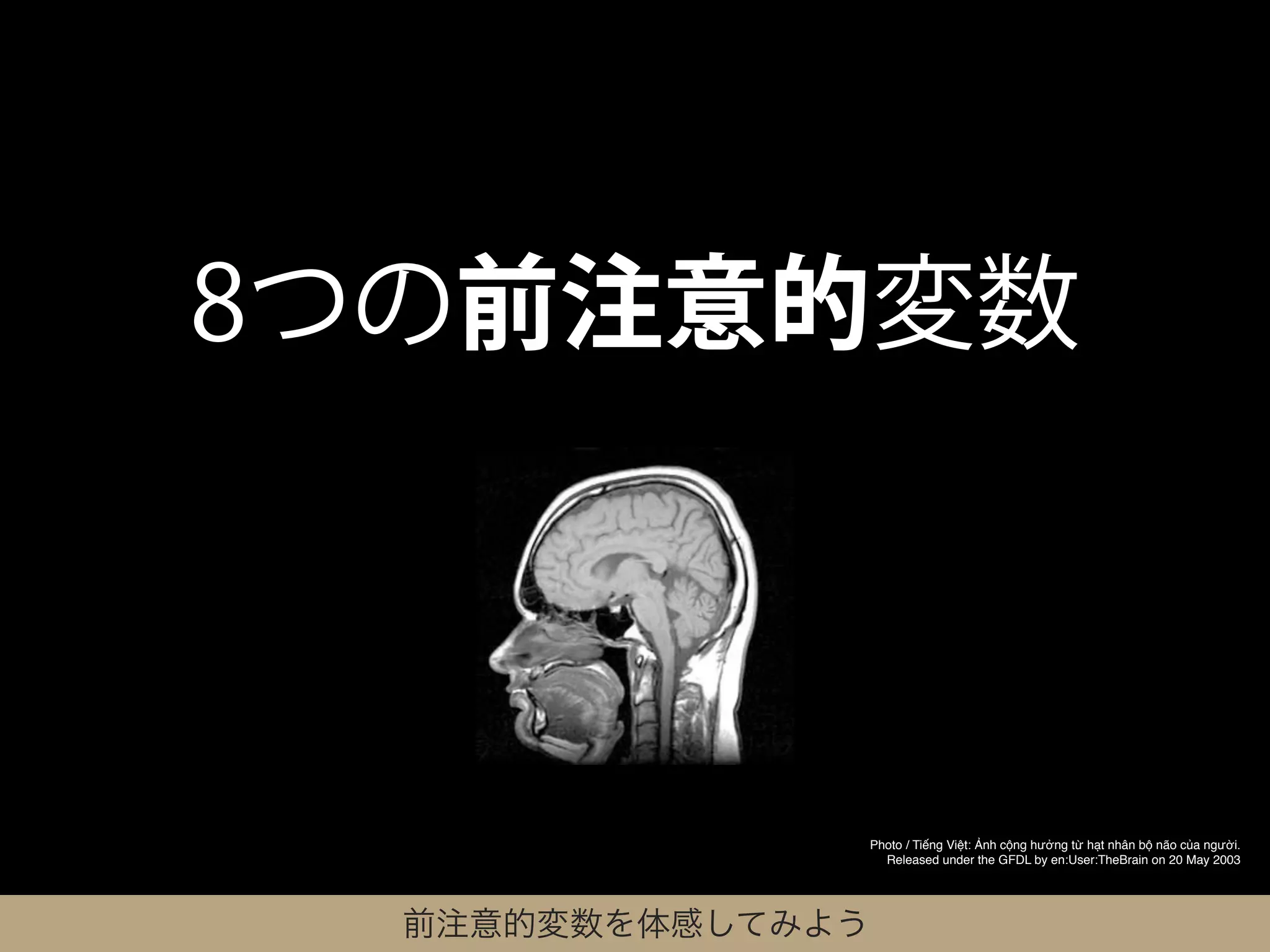 8つの前注意的変数



                   Photo / Tiếng Việt: Ảnh cộng hưởng từ hạt nhân bộ não của người.
                     Released under the GFDL by en:User:TheBrain on 20 May 2003




  前注意的変数を体感してみよう
 