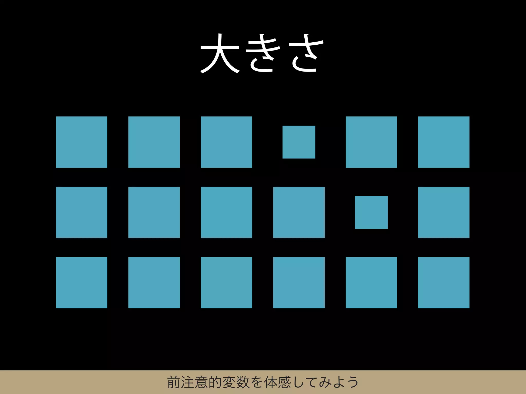 大きさ




前注意的変数を体感してみよう
 