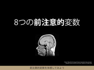8つの前注意的変数



                   Photo / Tiếng Việt: Ảnh cộng hưởng từ hạt nhân bộ não của người.
                     Released under the GFDL by en:User:TheBrain on 20 May 2003




  前注意的変数を体感してみよう
 