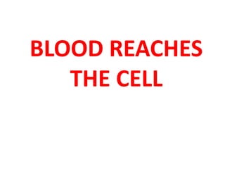 BLOOD REACHES 
THE CELL 
 