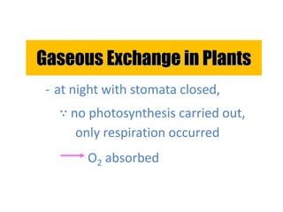 Gaseous Exchange in Plants 
- at night with stomata closed, 
∵ no photosynthesis carried out, 
only respiration occurred 
O2 absorbed 
 