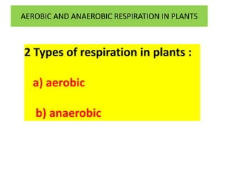AEROBIC AND ANAEROBIC RESPIRATION IN PLANTS 
2 Types of respiration in plants : 
a) aerobic 
b) anaerobic 
 