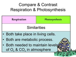 Compare & Contrast 
Respiration & Photosynthesis 
Respiration Photosynthesis 
Similarities 
• Both take place in living cells. 
• Both are metabolic process. 
• Both needed to maintain levels 
of O2 & CO2 in atmosphere 
 