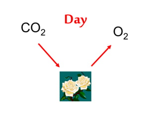 Day 
CO2 O2 
 
